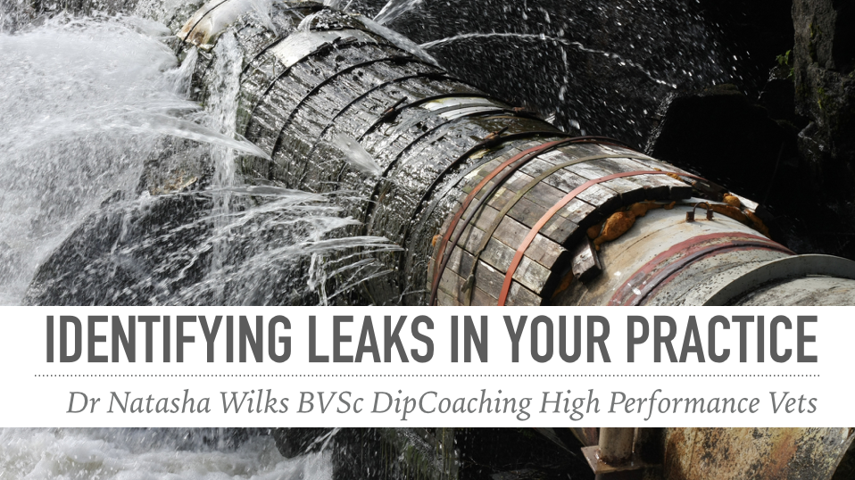 Identifying Leaks in Your Practice