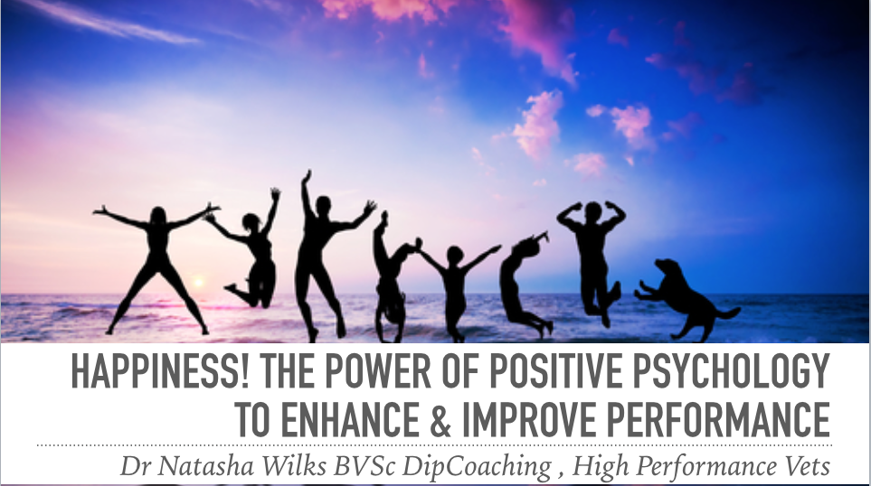 Using Positive Psychology to Enhance Performance
