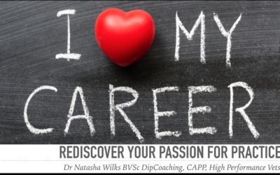 Rediscover Your Passion for Practice